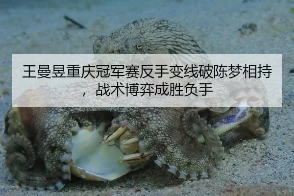 王曼昱重庆冠军赛反手变线破陈梦相持，战术博弈成胜负手