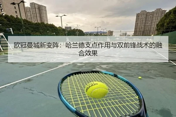 ou-guan-man-cheng-xin-bian-zhen-ha-lan-de-zhi-dian-zuo-yong-yu-shuang-qian-feng-zhan-shu-de-rong-he-xiao-guo-3-596.jpg