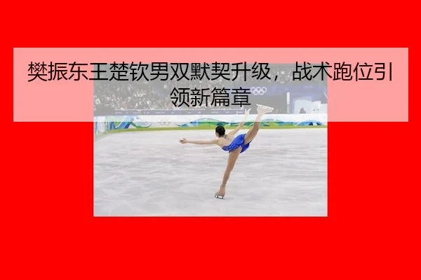 樊振东王楚钦男双默契升级，战术跑位引领新篇章