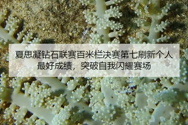 xia-si-ning-zuan-shi-lian-sai-bai-mi-lan-jue-sai-di-qi-shua-xin-ge-ren-zui-hao-cheng-ji-tu-po-zi-wo-shan-yao-sai-chang-3-931.jpg