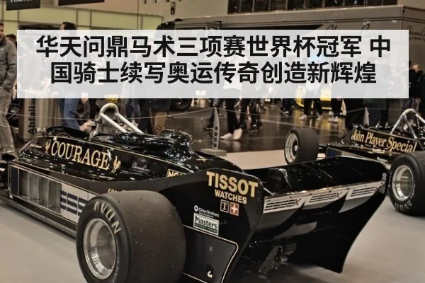 华天问鼎马术三项赛世界杯冠军 中国骑士续写奥运传奇创造新辉煌
